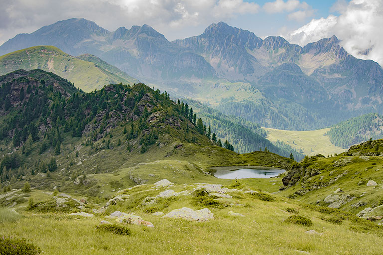 Galleria panoramica
