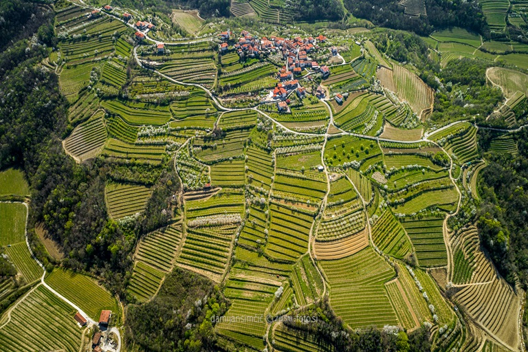 Galleria panoramica