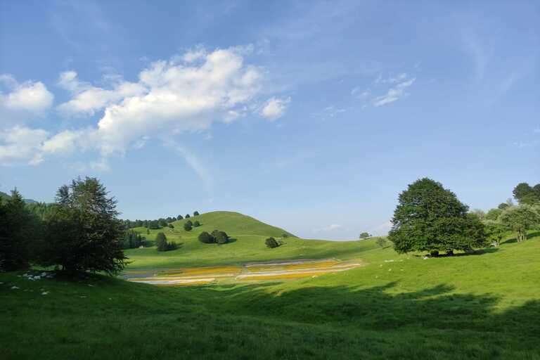 Galleria panoramica