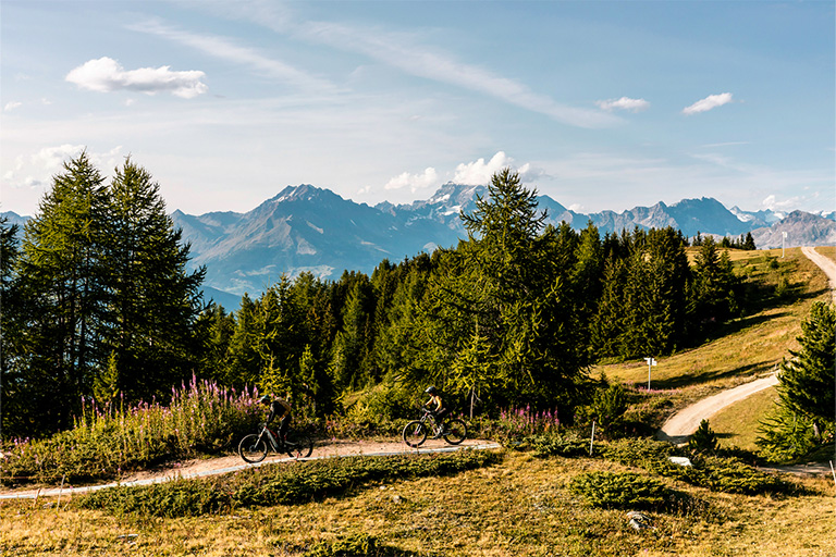 Galleria panoramica