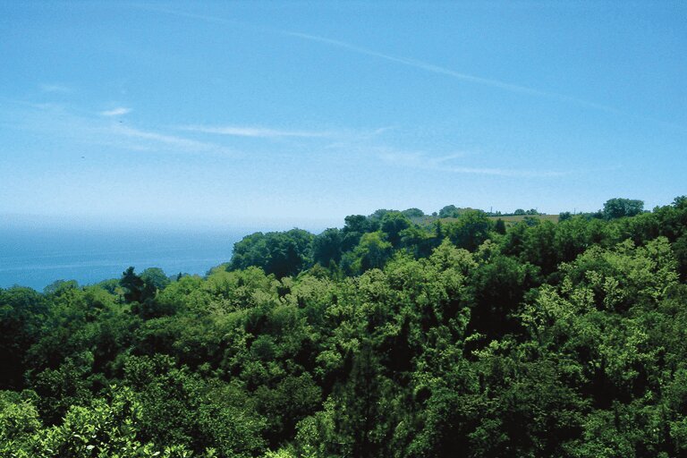 Galleria panoramica