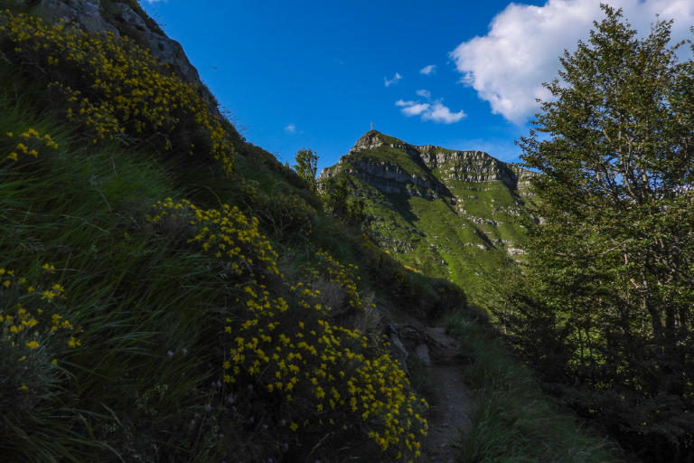 Galleria panoramica