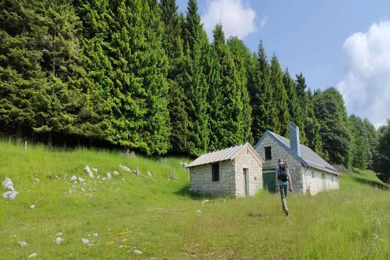 Galleria panoramica