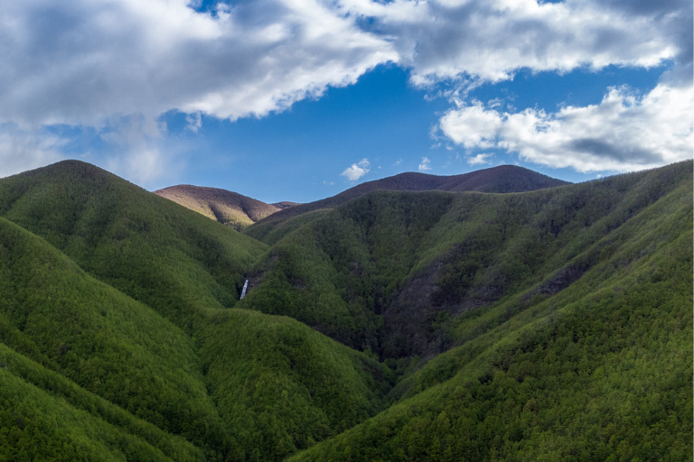 Galleria panoramica