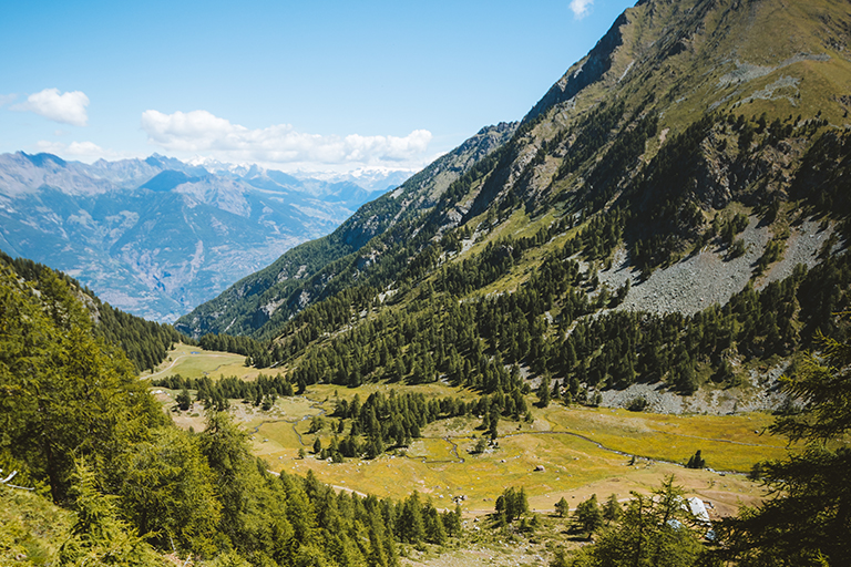 Galleria panoramica