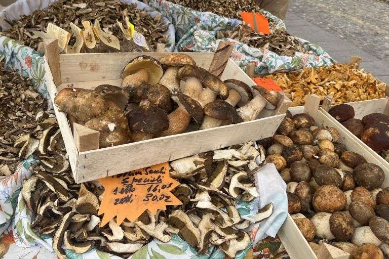 Img Gastronomia