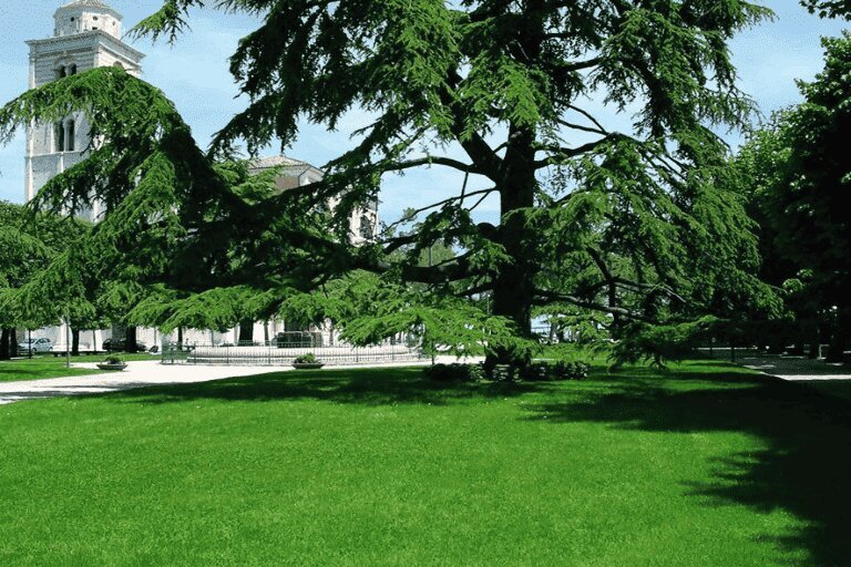 Galleria panoramica