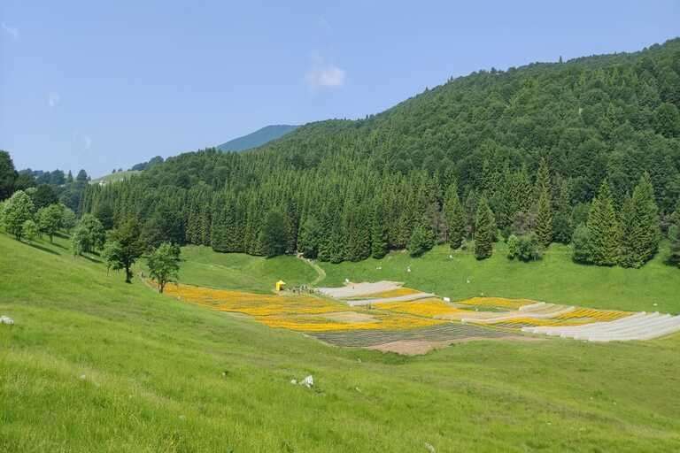 Galleria panoramica